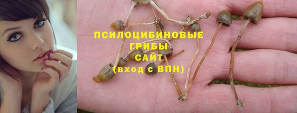 прущая мука Алзамай