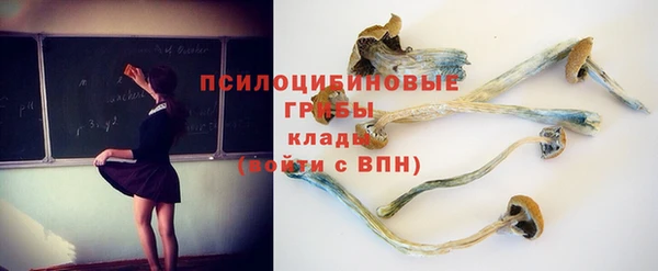 твердый Алексин