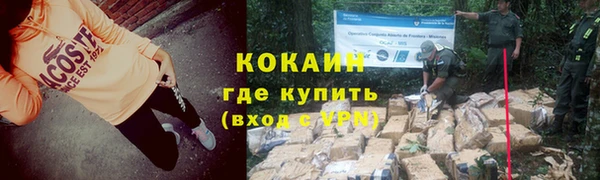 твердый Алексин