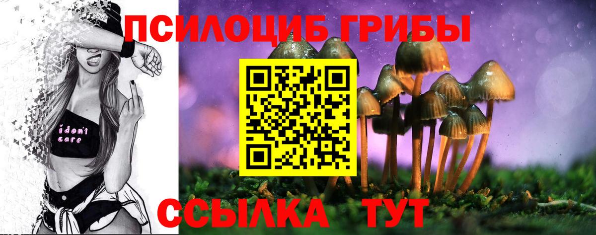 Галлюциногенные грибы мухоморы  Вход с VPN  Сокол  Псилоцибиновые грибы прущие грибы 