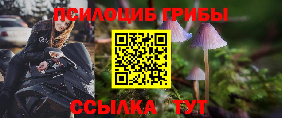 Галлюциногенные грибы Cubensis Сокол